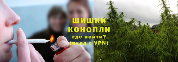 прущие грибы Верхнеуральск