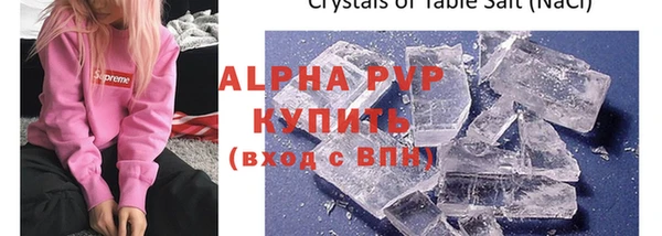PSILOCYBIN Бородино