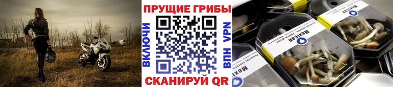 Псилоцибиновые грибы Magic Shrooms  Южно-Сахалинск 